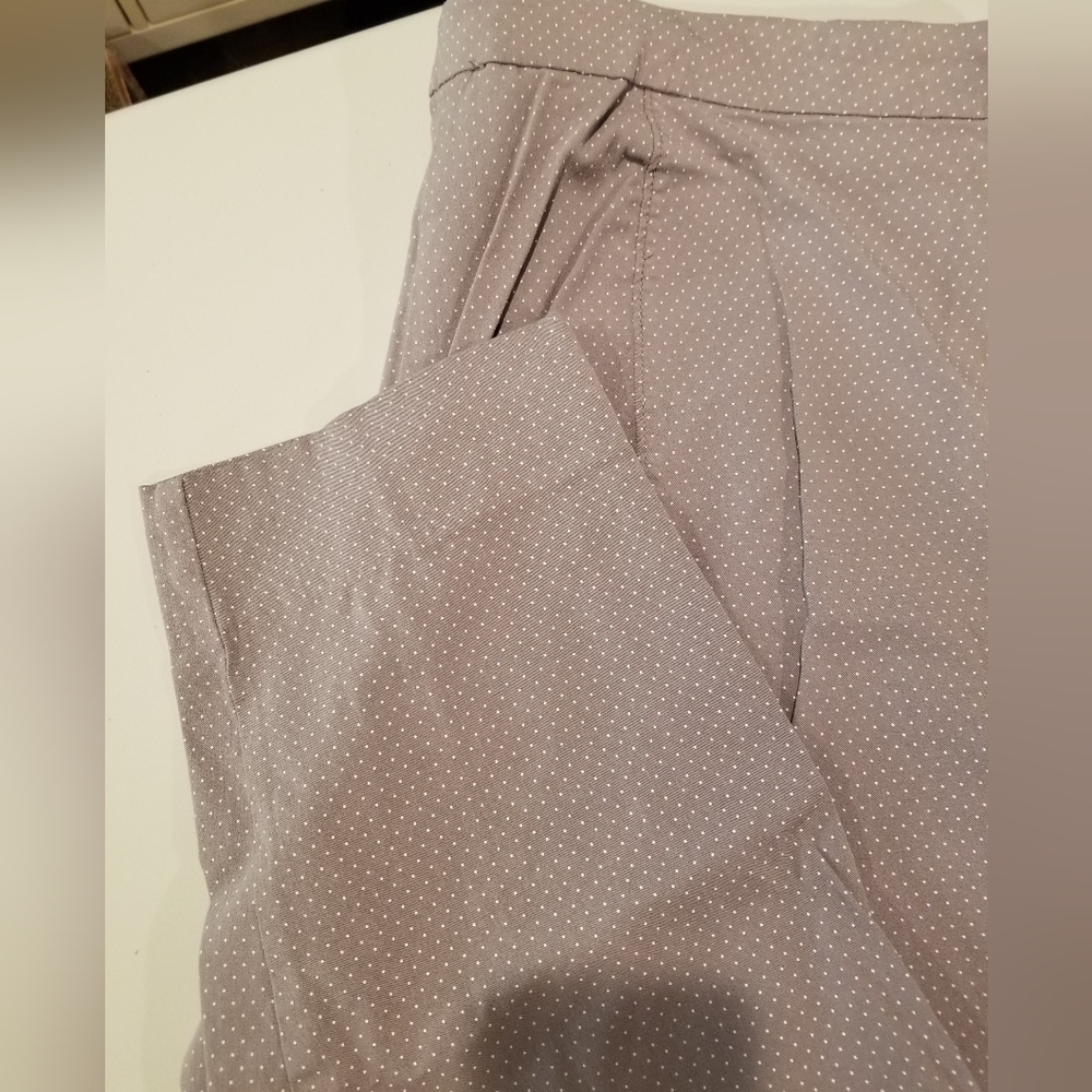 Gray with white mini polka dot ankle length pants. Size 22W.